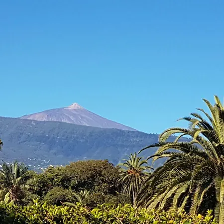 The Bird's Nest Apartman