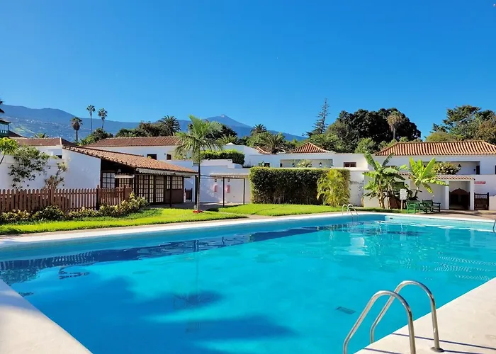 The Bird's Nest Daire Puerto de la Cruz (Tenerife)