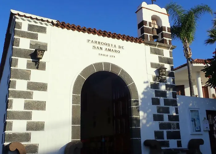 Daire The Bird's Nest