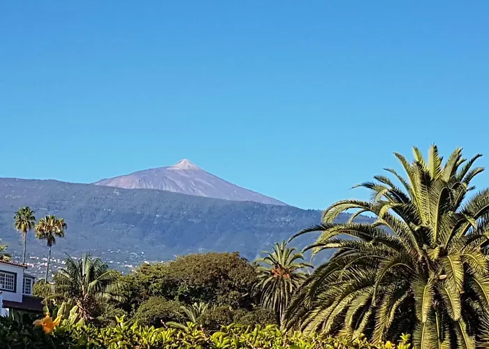 The Bird's Nest Apartment